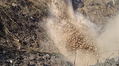 مديرية الطرق والنقل بالإسماعيلية تقوم بأعمال تغطية للخلجان والمساقي بالمراكز