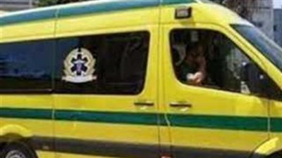 عاجل.. إصابة 5 أشخاص إثر اصطدام سيارة ترحيلات بالطريق الدائرى