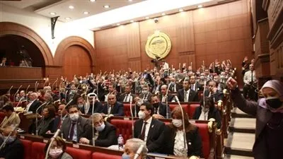 مجلس الشيوخ يوافق على الحساب الختامي لموازنة للعام المالي 20/21