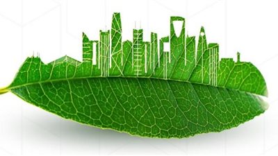 أمانة منطقة الرياض تزرع 12 ألف شجرة في العاصمة خلال شهر يناير