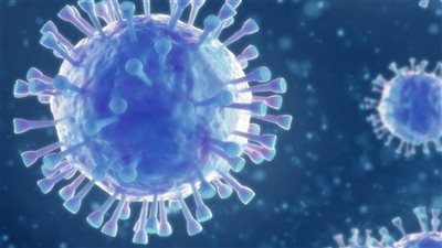 أستاذ جراحات مخ وأعصاب: كورونا يسبب جلطات حتى عند عدم ظهور أعراض