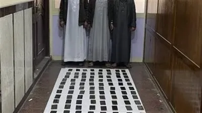 ضبط 10 عناصر إجرامية لحيازتهم 740 طربة حشيش وأفيون بالإسكندرية