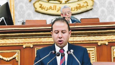 برلماني: العلاقات المصرية البلجيكية لها جذور تاريخية طويلة