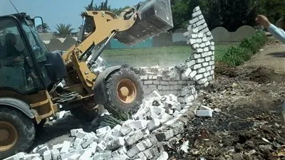 محمد القرش: الرقعة الزراعية أمن قومي لمصر (فيديو)