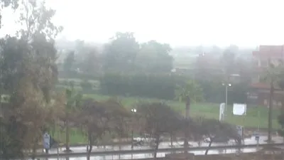 أمطار غزيرة تضرب قرى ومدن المنوفية.. فيديو وصور