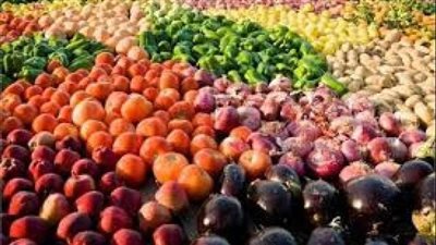 حسين منصور يكشف شروط الموافقة على واردات وصادرات منتجات الصناعات الغذائية 