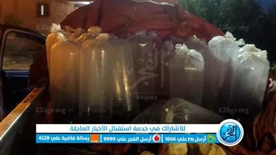 ضبط آلاف الأسماك المهربة من بحيرة البرلس في كفر الشيخ