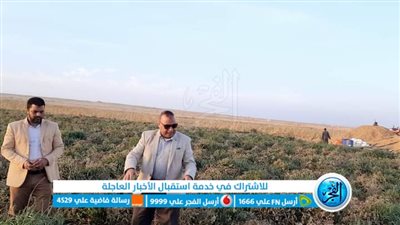 وكيل زراعة الفيوم يتفقد حقول زراعة الطماطم بكوم أوشيم ويجتمع بالمزارعين لسماع مشاكلهم 