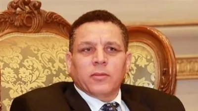 برلماني: تحقيق الاقتصاد المصري أكبر معدل نمو يصل إلى 9% شهادة بتعافيه 