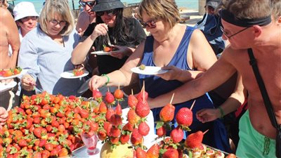 مصر أرض السلام.. ضحك ولعب ورحلات شواطئ تجمع بين الروس والأوكرانيين بالغردقة