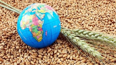 باحث: أولوية دول العالم الآن مكافحة التغير المناخي لتوفير الأمن الغذائي