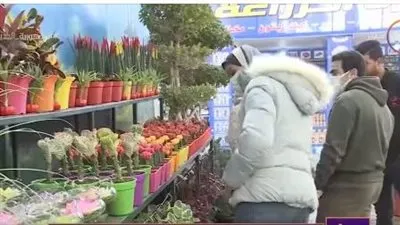 1500 نوع نادر.. انطلاق معرض زهور الربيع بحديقة الأورمان (فيديو)