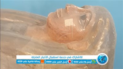 خبير يطلق استغاثة.. 800 قطعة أثرية في أوكرانيا علينا استعادتها قبل دمارها