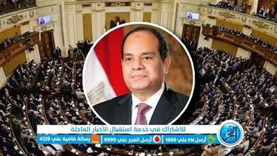 بعد حديث الرئيس.. نواب: المشروع القومي لتنمية الأسرة يعالج الزيادة السكانية