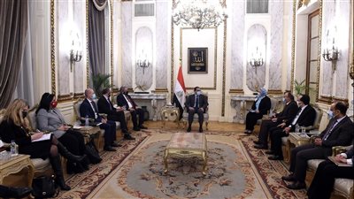 رئيس الوزراء يستقبل رئيس الاتحاد الدولي لجمعيات الصليب الأحمر