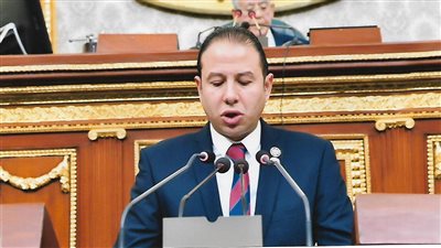 برلماني: مجهود الحكومة لعودة الطلاب المقيمين بأوكرانيا لن ينساه التاريخ 