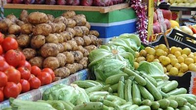شعبة الخضروات والفاكهة: استقرار في الأسعار حتى عيد الأضحى المبارك
