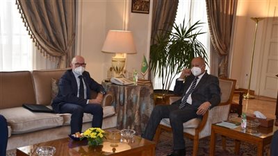 أبوالغيط يستقبل السكرتير التنفيذي للجنة التحضيرية لمنظمة الحظر الشامل للتجارب النووية