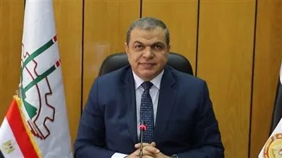 القوى العاملة: تسليم 4677 بوليصة تأمين وسداد 1.7 مليون جنيه أموال غارمات بأسوان