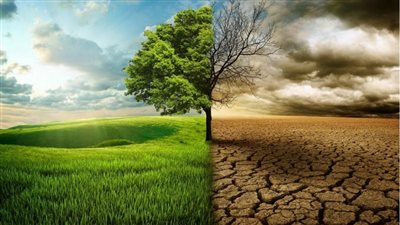 أخصائي علوم بيئة توضح تأثير التغير المناخي على مصر (فيديو)