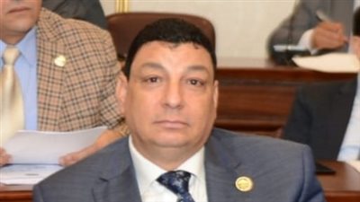 برلماني: قرار الرئيس بتحديد سعر رغيف الخبر الحر انحياز للمواطن 