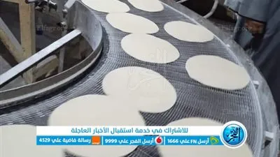 تحرير 310 محاضر للمخالفين من التجار والمخابز في كفر الشيخ 