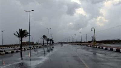 الأرصاد تكشف تفاصيل حالة الطقس.. وتحذر من هذا اليوم (فيديو)