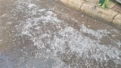 مشهد أوروبي فى الإسكندرية.. الثلوج تغطى الشوارع (فيديو)