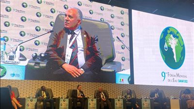 وزير الري يؤكد حرص مصر على حشد الرؤى الإقليمية والدولية بقضايا المياه