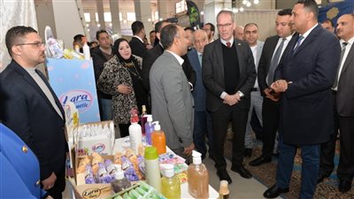 محافظ الدقهلية يستقبل السفير السويدي بالقاهرة (صور)