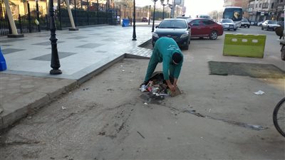 رفع 290 طن قمامة بشوارع وميادين المنصورة (صور) 
