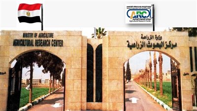 رئيس مركز بحوث الصحراء يكشف عن الخدمات المقدمة لتحقيق التنمية المستدامة