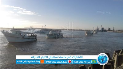 بعد تحسن الأحوال الجوية.. استئناف حركة الصيد في كفر الشيخ