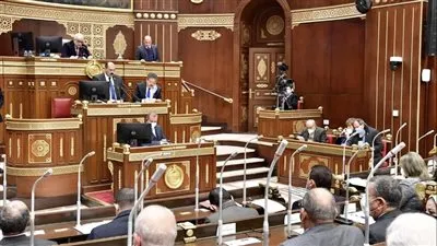 بدء الجلسة العامة لمجلس الشيوخ لمناقشة الزيادة السكانية