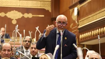 برلماني: مشكلة الزيادة السكانية تعرقل كافة جهود التنمية