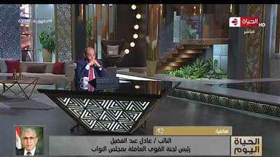 القوى العاملة بالبرلمان:  2700 جنيه الحد الادنى للعاملين في الدولة خلاف الأرباح السنوية (فيديو)