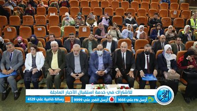 مؤتمر بثقافة كفر الشيخ يوصي بتوفير قواعد بيانات لـ 