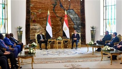 بيان مشترك بين مصر والسودان بشأن قضية سد النهضة 