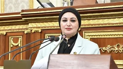 وكيلة القوى العامله: صرف العلاوات وزيادة الأجور قرار حكيم من القياده السياسية