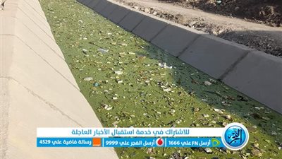 القمامة تشوه ترعة سيالة 