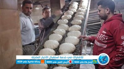 حملات تموينية مكبرة لتكثيف الرقابة على الأسواق في كفرالشيخ