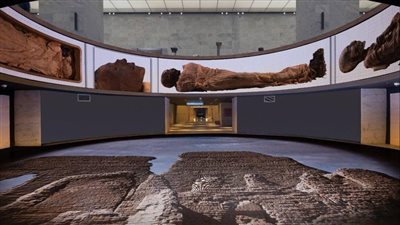 في الذكرى الأولى لنقلها.. تعرف على أبرز مشاهد موكب المومياوات الملكية 