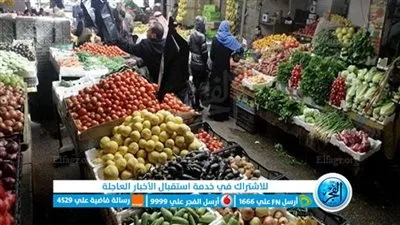 أسعار الخضروات والفاكهة اليوم الجمعة في أسواق الإسماعيلية 