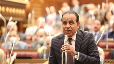 برلمانية الوفد: الزيادة السكانية ابتلعت جهود التنمية وأدت لظهور العشوائيات 