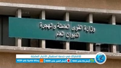 القوى العاملة: تعيين 727 شابًا والتفتيش على 254 منشأة بالفيوم 