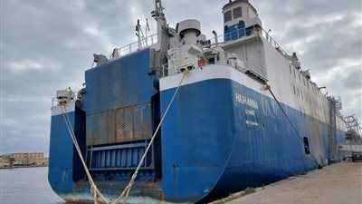 تفريغ 5 آلاف رأس ماشية حية وتداول 29 سفينة بموانئ بورسعيد