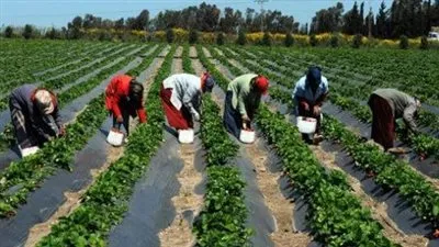 بيان عاجل من الحكومة بشأن تعديل أحكام قانون الإصلاح الزراعي