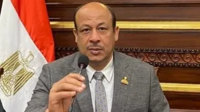 برلماني: الدولة جادة في مواجهة تداعيات التضخم العالمي عبر زيادة الأجور والمعاشات