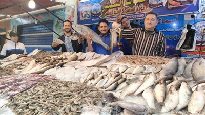 سوق الأسماك الجديد بحي العرب ببورسعيد يشهد إقبالا كبيرا من المواطنين (صور)