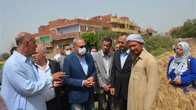 محافظ القليوبية يتفقد عددا من حقول القمح بمدينتي كفر شكر والقناطر الخيرية